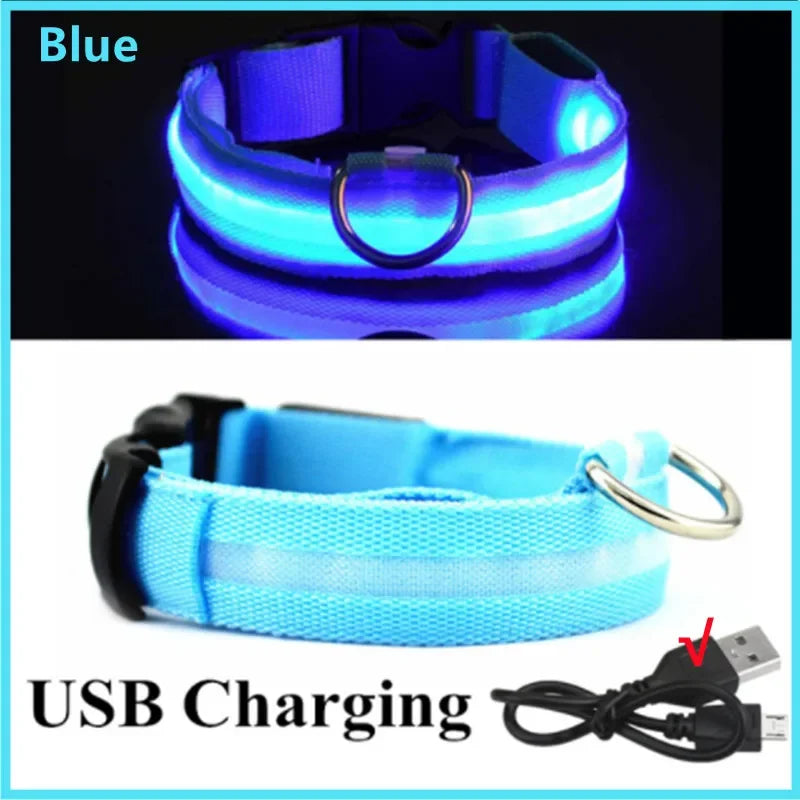 LED Rechargeable Dog Glow Safety Collar