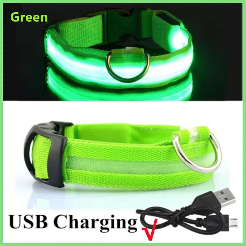 LED Rechargeable Dog Glow Safety Collar